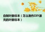 自制叶脉标本（怎么制作DIY漂亮的叶脉标本）