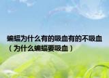 蝙蝠为什么有的吸血有的不吸血（为什么蝙蝠要吸血）