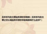 喜羊羊与灰太狼龙年沸羊羊妈妈（喜羊羊与灰太狼之开心闯龙年中沸羊羊的母亲叫什么名字?）