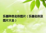 乐器种类名称图片（乐器名称及图片大全）