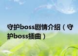 守护boss剧情介绍（守护boss插曲）