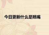 今日更新什么是翘嘴