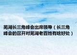 芜湖长三角峰会出席领导（长三角峰会的召开对芜湖老百姓有啥好处）