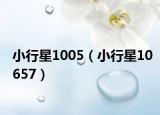 小行星1005（小行星10657）