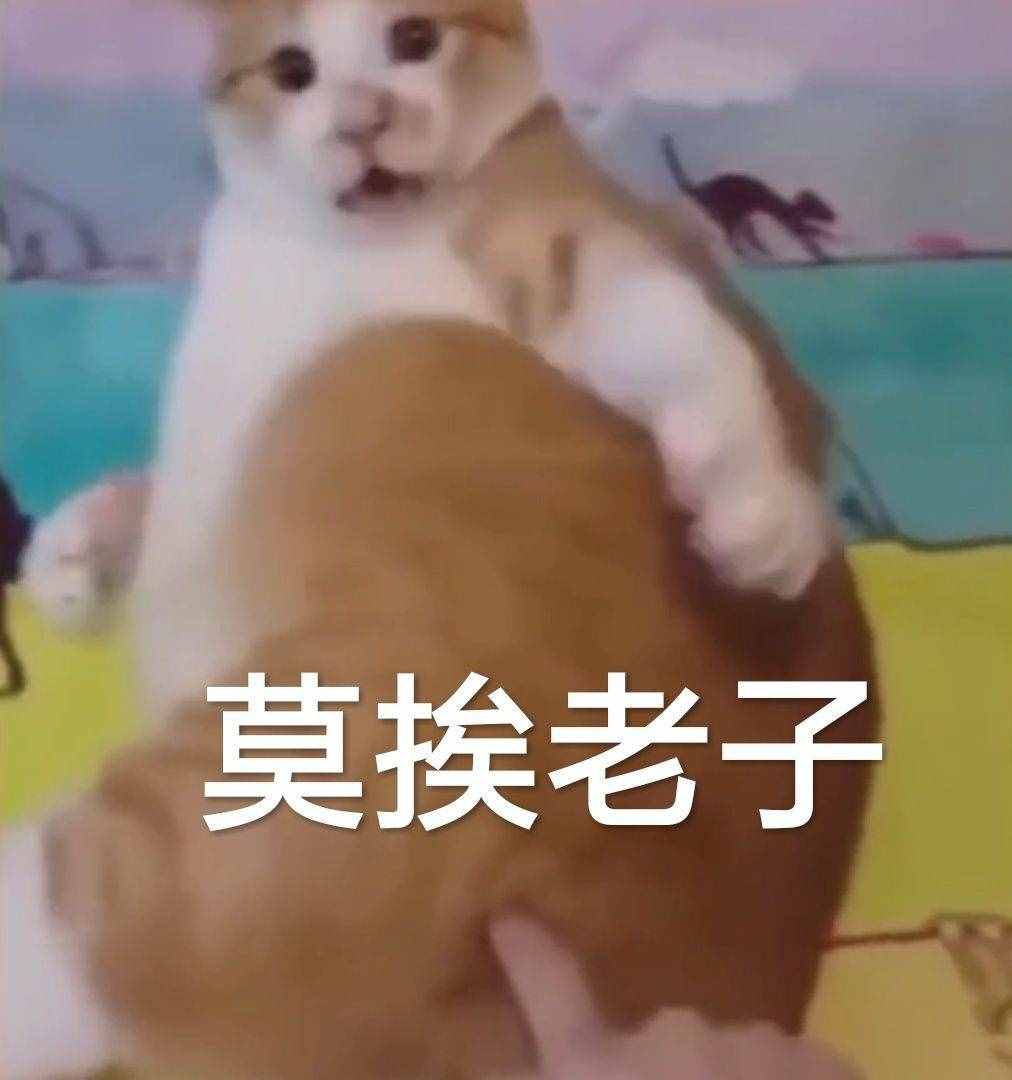 冷笑话：为什么暑假比寒假长？看完乐呵乐呵睡觉
