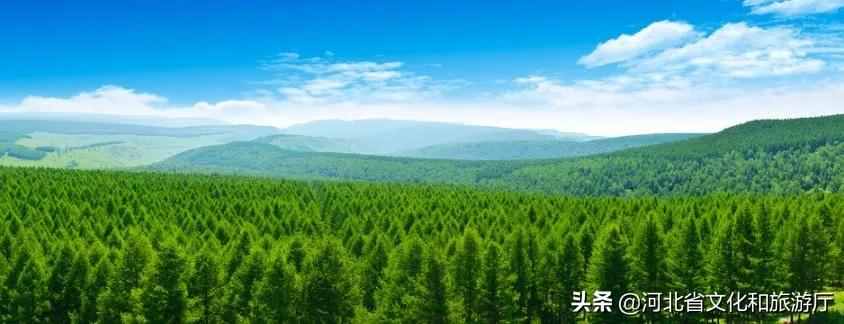 河北承德塞罕坝——波澜壮阔的旷世之美