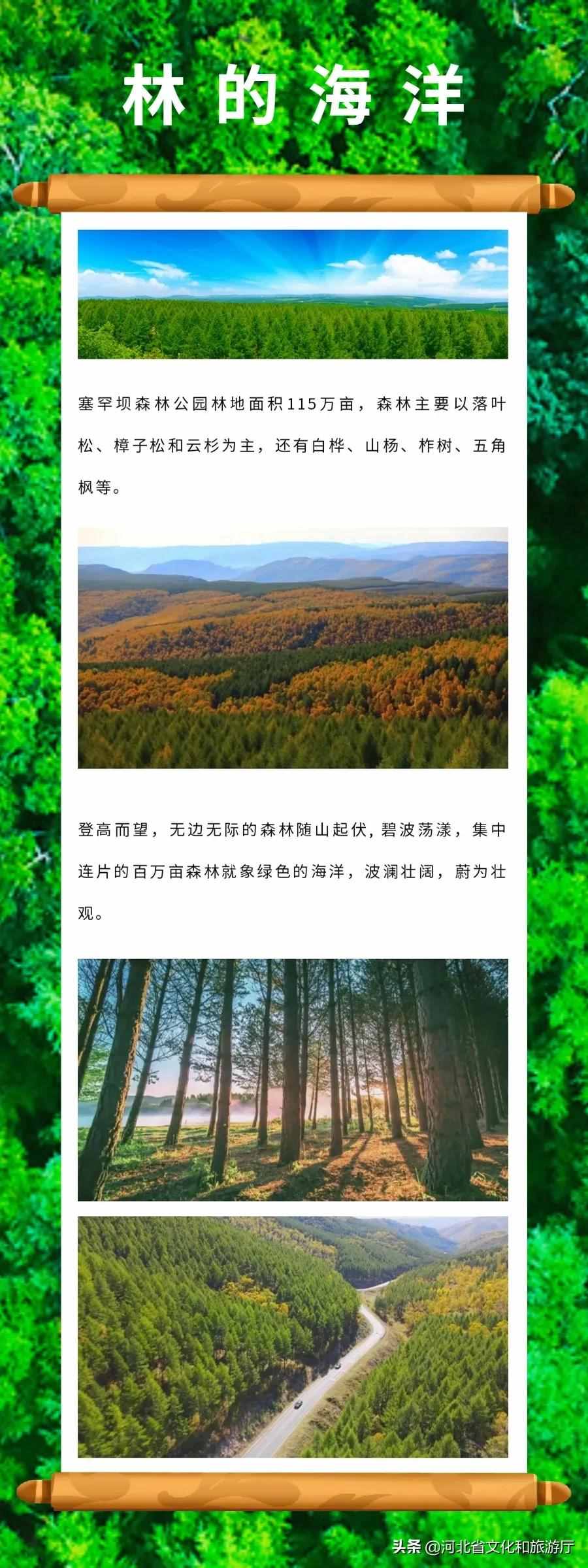 河北承德塞罕坝——波澜壮阔的旷世之美