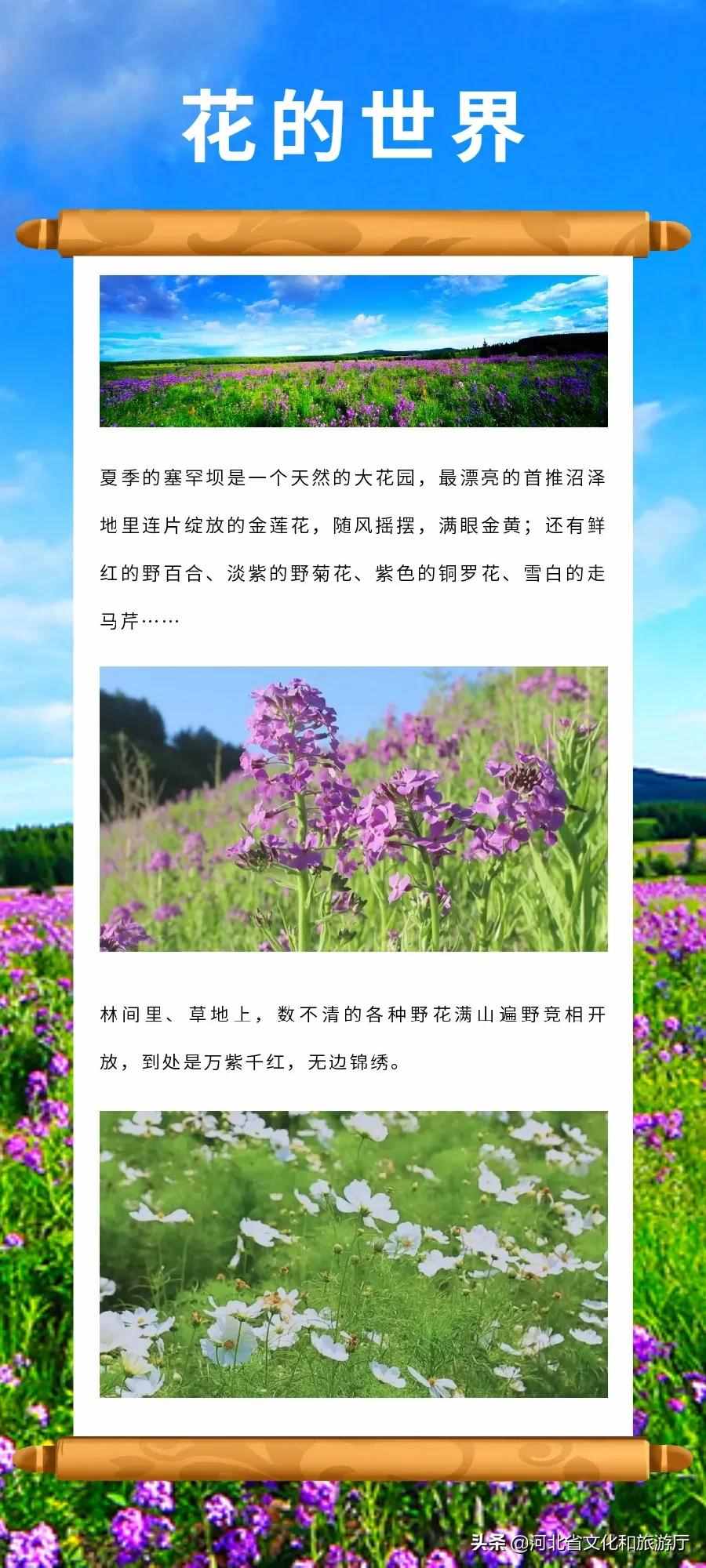河北承德塞罕坝——波澜壮阔的旷世之美