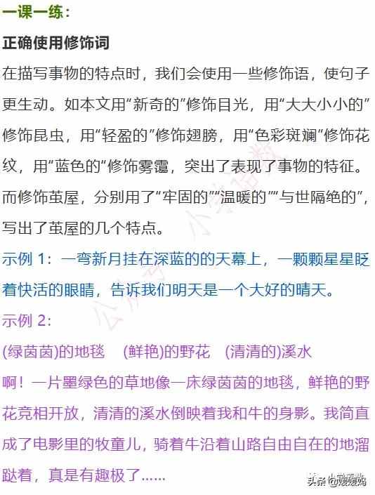 二年级下册语文课文22《小毛虫》图文详解及同步练习