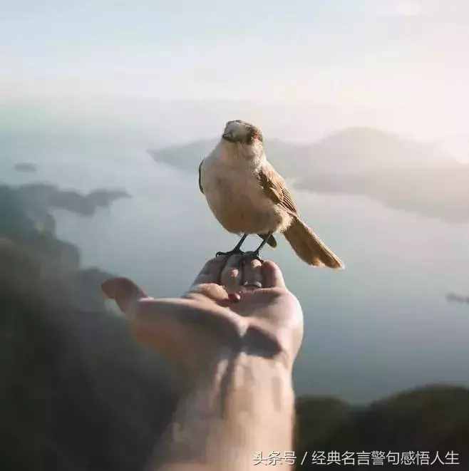 平等待人,善良做人
