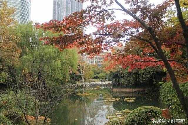 上海值得一去的18个公园,免费又好玩!