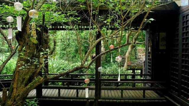 杭州周边游 适合徒步的原始森林公园 元代名家黄公望隐居地
