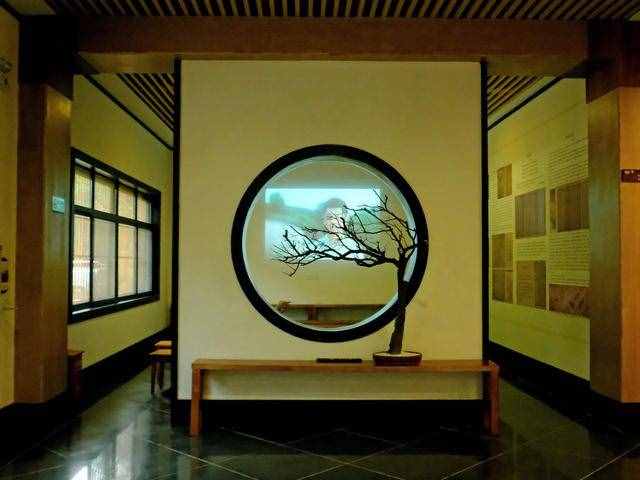 杭州周边游 适合徒步的原始森林公园 元代名家黄公望隐居地