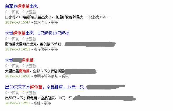 2019年龟市黑马！鳄龟苗从曾经的3~5元/只上涨到13元/只