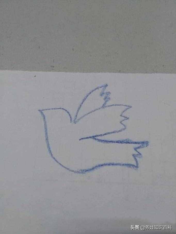 和平鸽怎么画？这样画，一分钟就可以学会，让孩子懂得和平即美好
