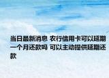 当日最新消息 农行信用卡可以延期一个月还款吗 可以主动提供延期还款