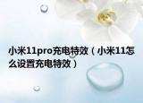 小米11pro充电特效（小米11怎么设置充电特效）