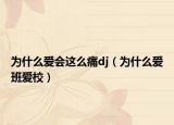为什么爱会这么痛dj（为什么爱班爱校）