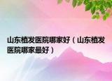 山东植发医院哪家好（山东植发医院哪家最好）