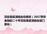 羽泉圣诞演唱会在哪里（2017京东金融的二十年羽泉圣诞演唱会送门票吗）