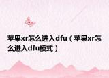 苹果xr怎么进入dfu（苹果xr怎么进入dfu模式）