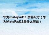华为matepad11 屏幕尺寸（华为MatePad11是什么屏幕）