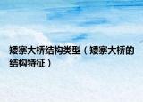 矮寨大桥结构类型（矮寨大桥的结构特征）