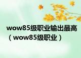 wow85级职业输出最高（wow85级职业）