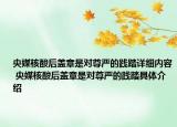 央媒核酸后盖章是对尊严的践踏详细内容 央媒核酸后盖章是对尊严的践踏具体介绍