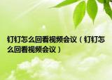钉钉怎么回看视频会议（钉钉怎么回看视频会议）