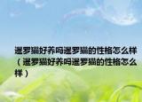 暹罗猫好养吗暹罗猫的性格怎么样（暹罗猫好养吗暹罗猫的性格怎么样）
