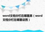 word文档分栏在哪里弄（word文档分栏在哪里设置）