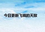 今日更新飞蛾的天敌