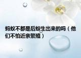 蚂蚁不都是后蚁生出来的吗（他们不怕近亲繁殖）