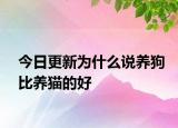 今日更新为什么说养狗比养猫的好