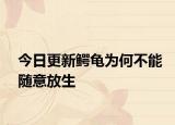 今日更新鳄龟为何不能随意放生