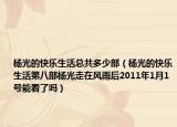 杨光的快乐生活总共多少部（杨光的快乐生活第八部杨光走在风雨后2011年1月1号能看了吗）