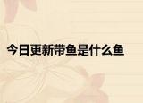 今日更新带鱼是什么鱼
