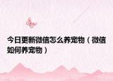 今日更新微信怎么养宠物（微信如何养宠物）