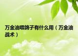 万金油喂鸽子有什么用（万金油战术）