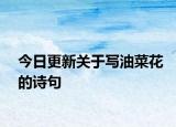 今日更新关于写油菜花的诗句