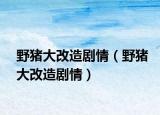 野猪大改造剧情（野猪大改造剧情）