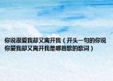 你说很爱我却又离开我（开头一句的你说你爱我却又离开我是哪首歌的歌词）
