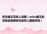 初音魔王花嫁人设图（miku魔王的花嫁是视频麼还是同人图额求问）