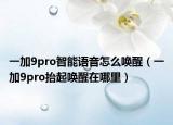 一加9pro智能语音怎么唤醒（一加9pro抬起唤醒在哪里）