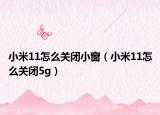 小米11怎么关闭小窗（小米11怎么关闭5g）