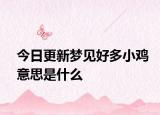 今日更新梦见好多小鸡意思是什么