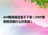 dnf嫩芽精灵拿不下来（DNF嫩芽精灵做什么任务给）