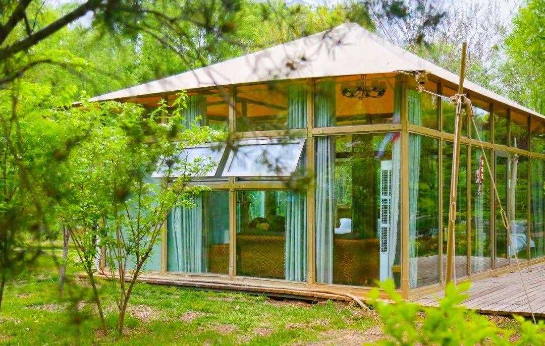 限量抢！59元特惠！济南野生动物世界狂欢嗨一“夏”！