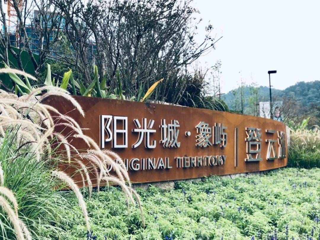 大V推荐